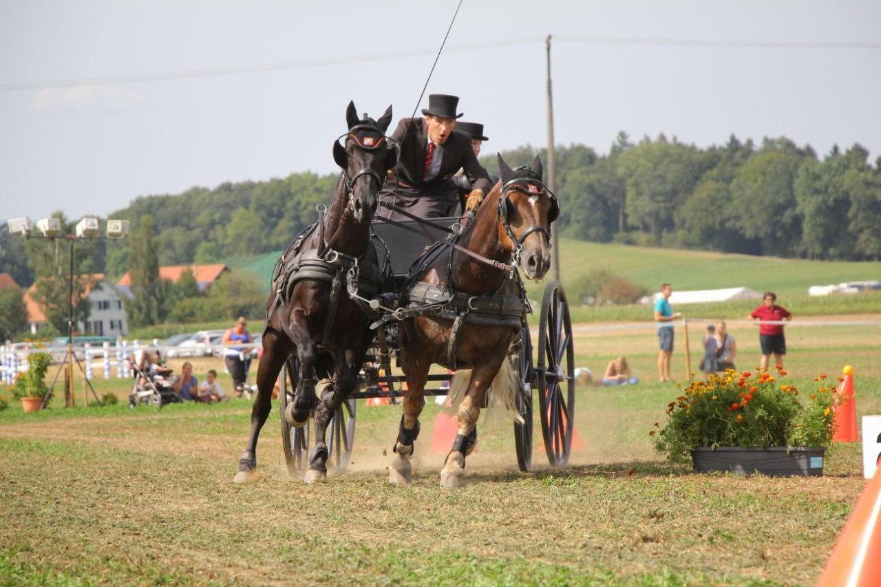 Bruno Widmer ist zu sehen mit einem zweier Gespann.