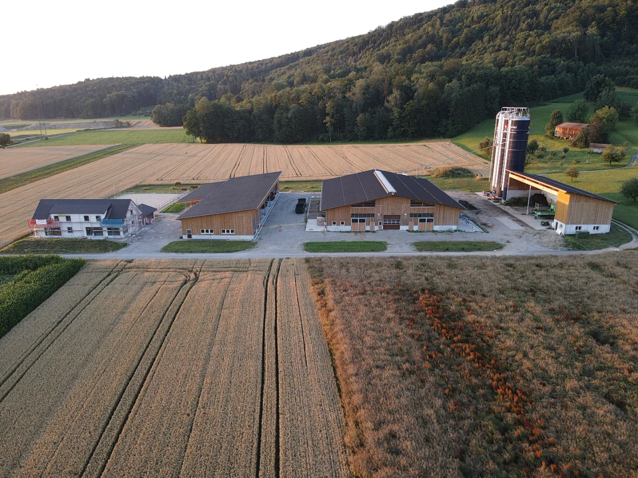 Siedlung-drissenloo