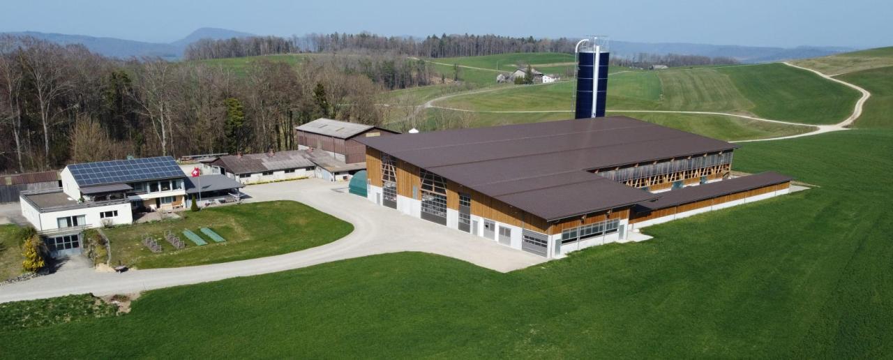 Belser Wolfhof