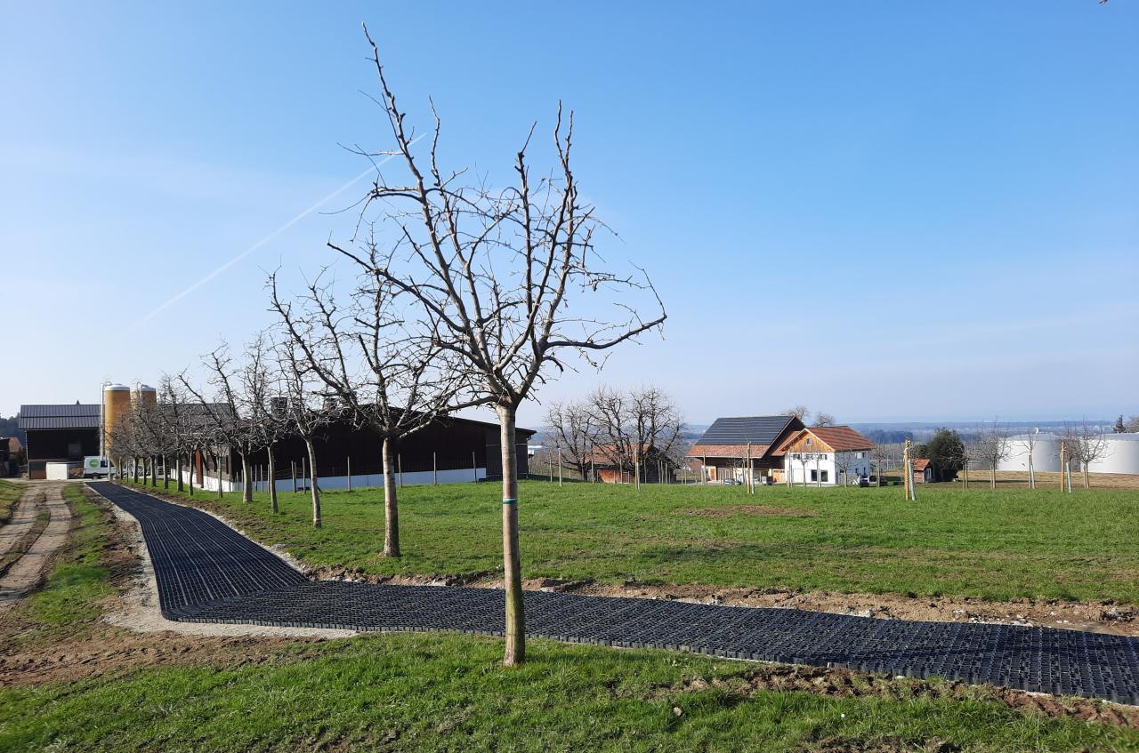 ecoraster-weg
