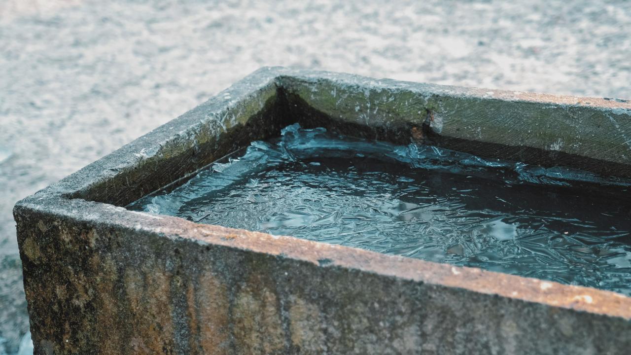 brunnen-gefrohren-bm