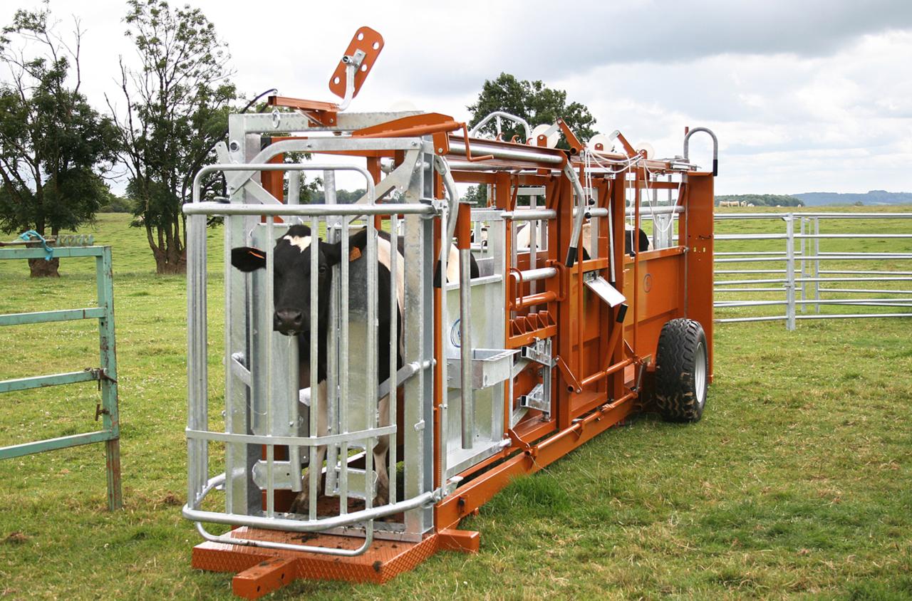 CCC3000_situ-holstein