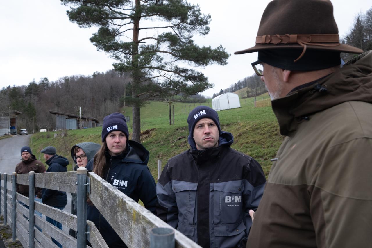 Stressfreier Umgang mit Rindern mithilfe der Bud Box 13