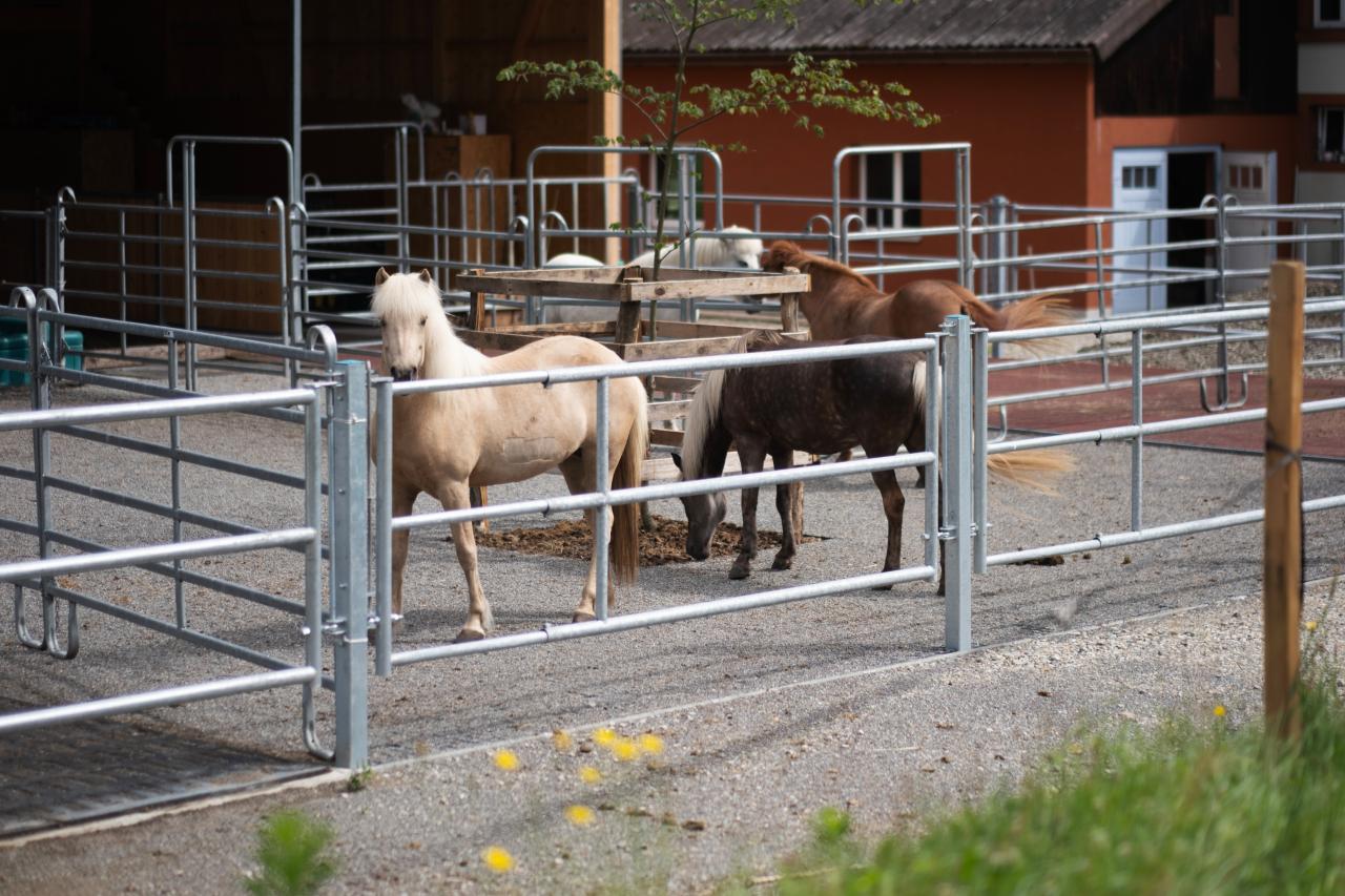 Tägerig Bild (3