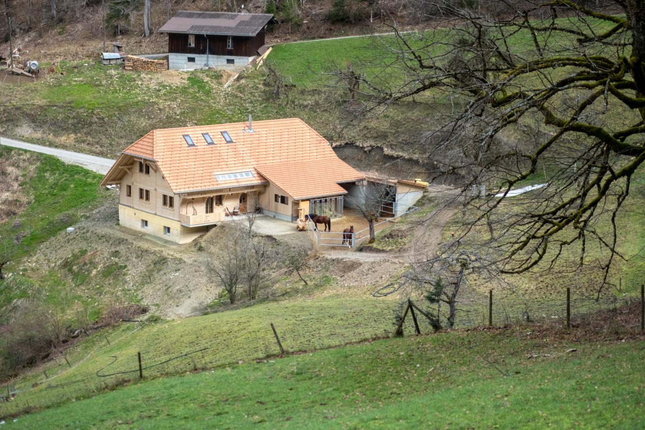 DSCF5980-Bearbeitet