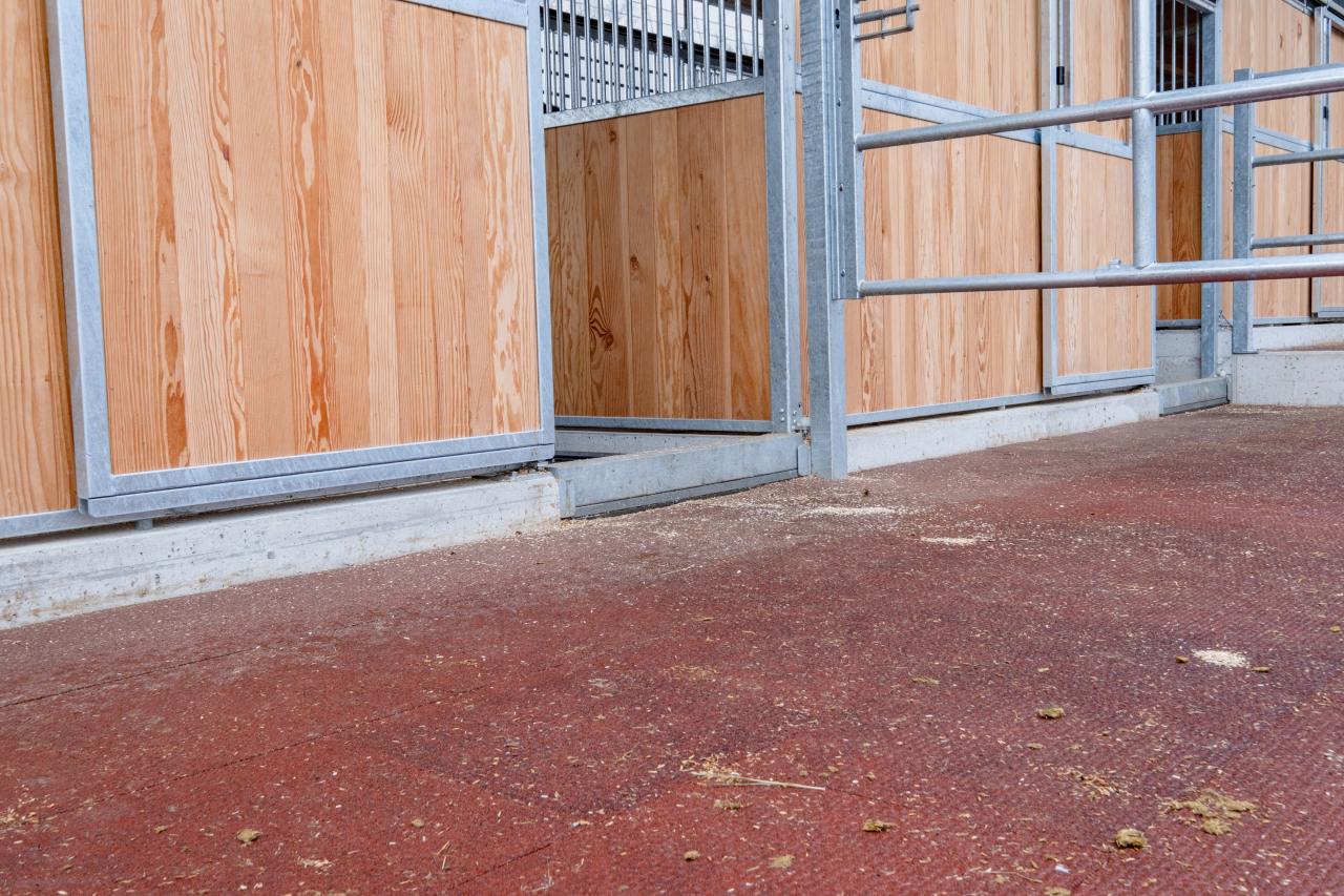 25437_Tierspital Bern Paddock 14.jpg