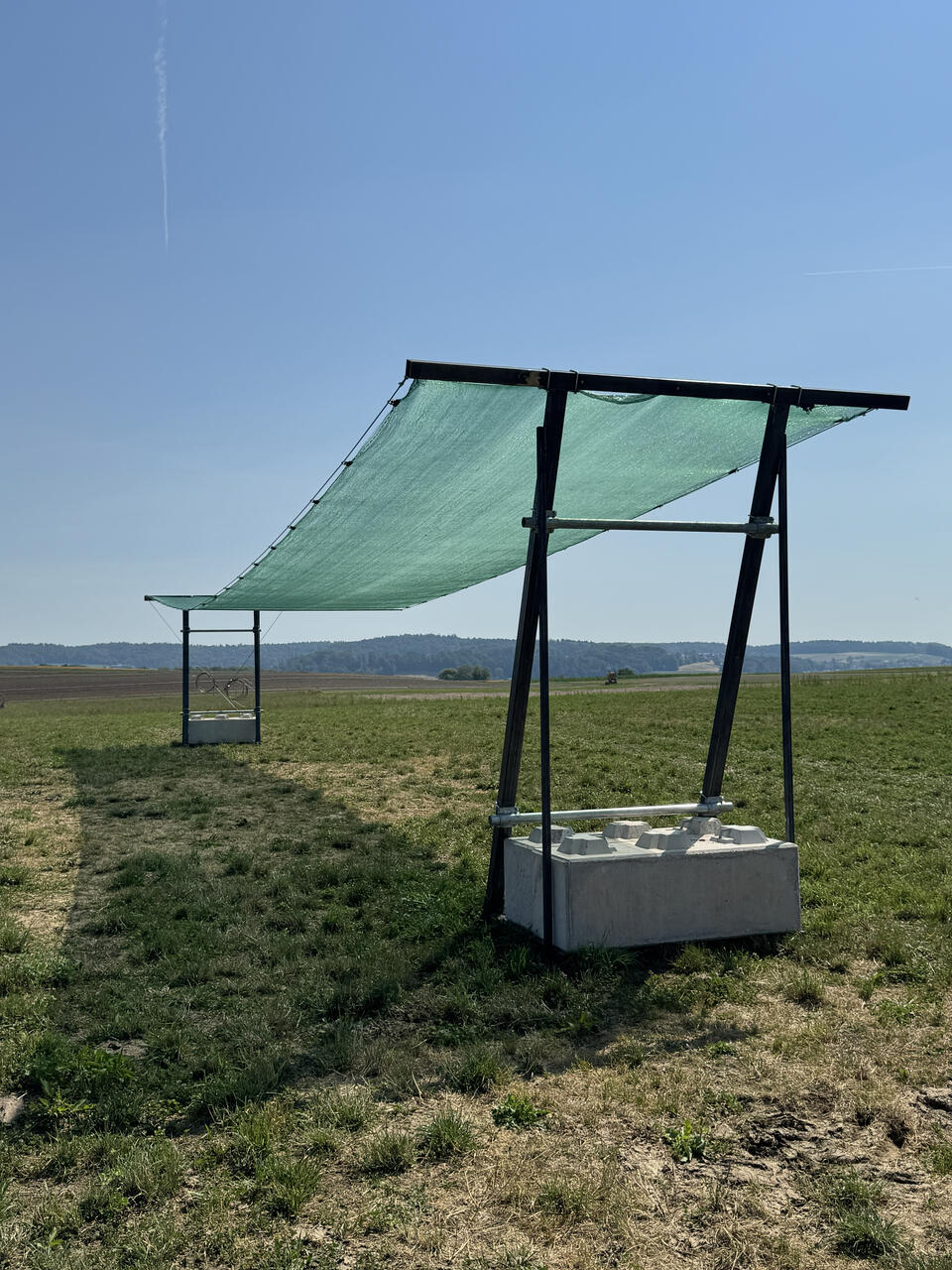 schattennetz-bm-2026-weide
