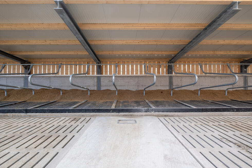 01da0ae4d8712f2ef3cf2d04b155cbab.jpg